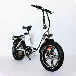 (JSL039WAL) Classic design ultra long rang 20 inch 48v 750w folding fat tire snow cruiser ebike electric bicycle electric bike