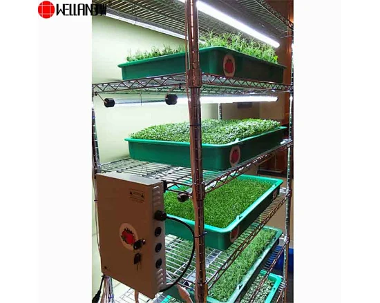 Microgreens Growing Wire Shelving