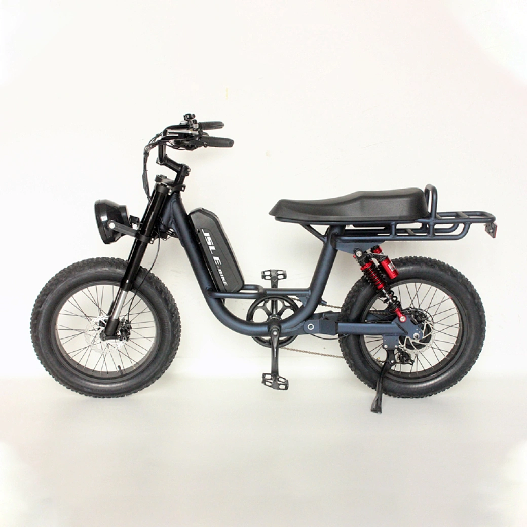 China fat tire ebike cheap