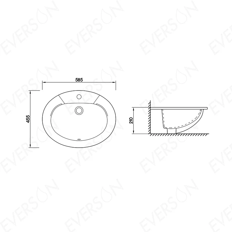 EVB21581