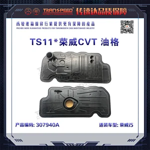 TS11 *Roewe CVT oil grid