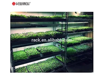 Indoor Epoxy Coated Microgreens Growing Wire Shelving