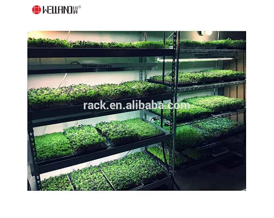 Microgreens Growing Wire Shelving