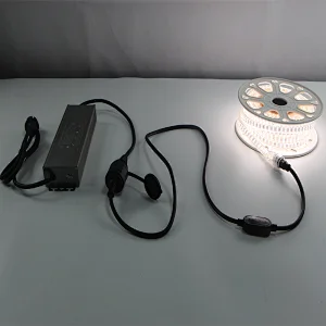AC100V Hospitals Led Emergency Fixtures Battery Backup For AC100V AC110V Led Strip Light Emergency Power Supply with Japan waterproof PSE plug VCT 2X1.25