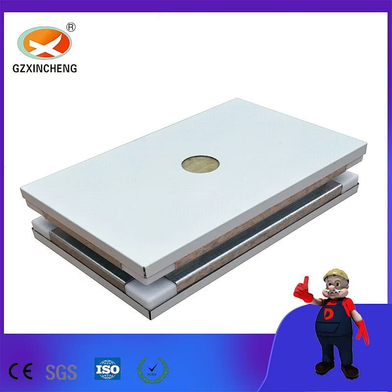 Customized Air Purification Clean Room Project Sandwich Wall Panel