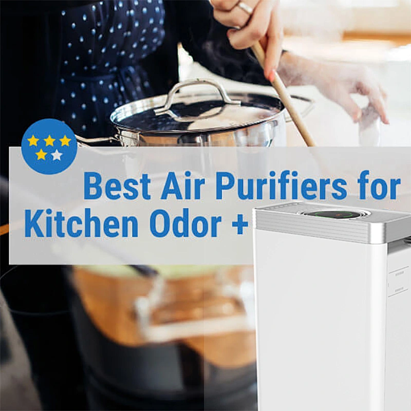 Purificador de aire para olores de cocina