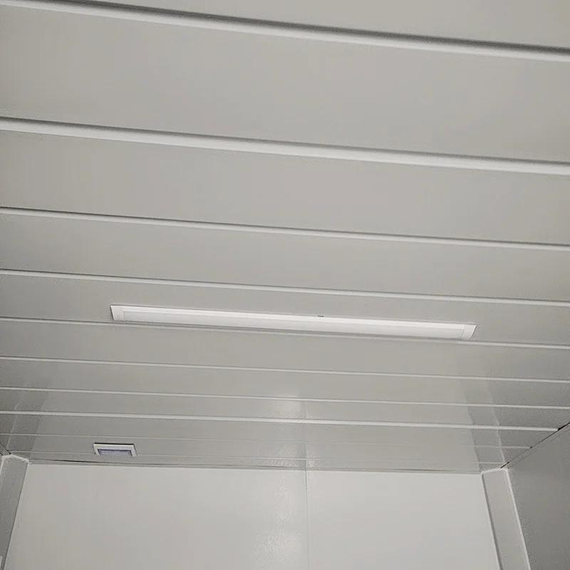 Prefabricated Mobile Modular Expandable Container Home/Prefab Home Modern 20FT container house