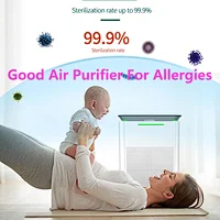 Good Air Purifier For Allergies