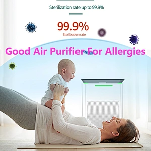Buen purificador de aire para alergias