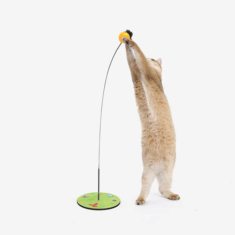 Lu catch Pingpong ball
