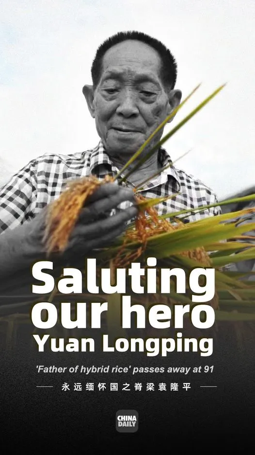 Saluting our hero, Yuan Longping!