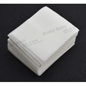 Cleaning Pad