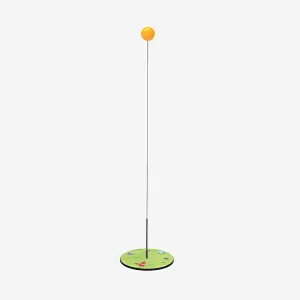 Lu catch Pingpong ball