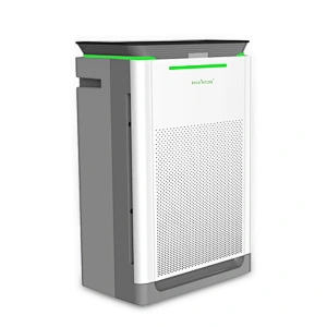 Best Air Purifier For Kitchen Smells
