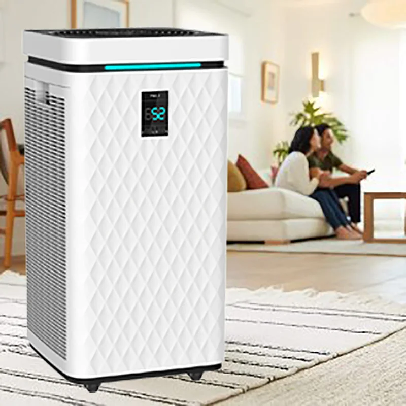 Best Large Air Purifier
