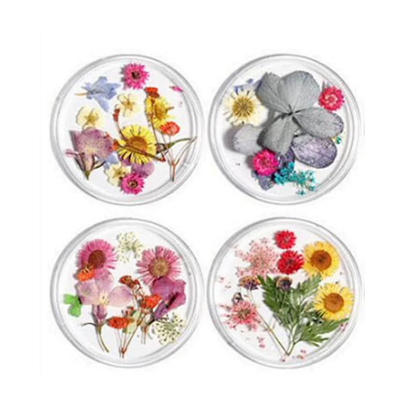 Dried Flowers