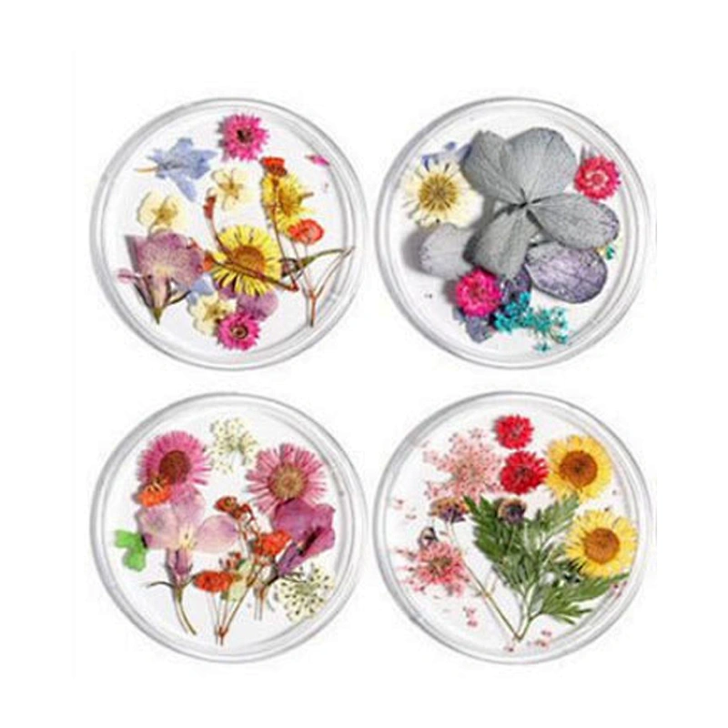 Dried Flowers
