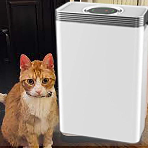 Bester Luftreiniger für Katzenhaar