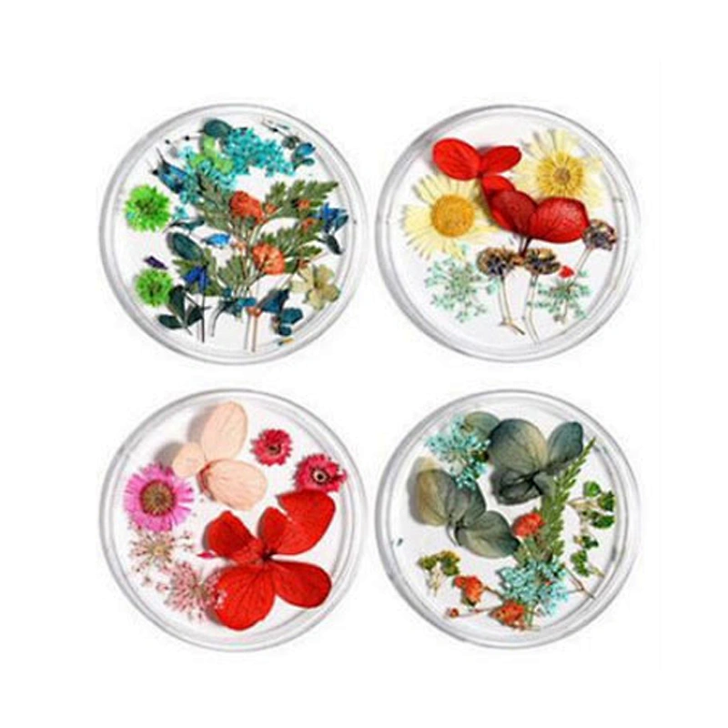 Dried Flowers
