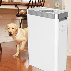 Best Air Purifier For Dust And Pet Hair