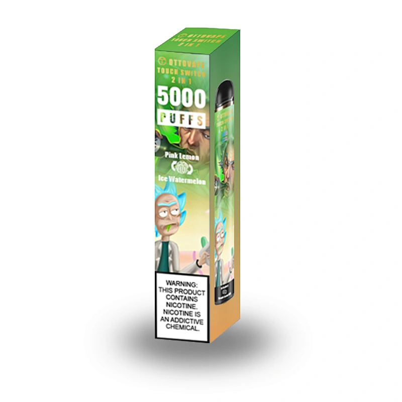 TOUCH SWITCH 5000 Puffs Dual Flavors Disposable Vape