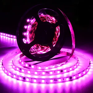 5050 60LEDs 24V  Magic (Dream) RGB  LED Strip Light