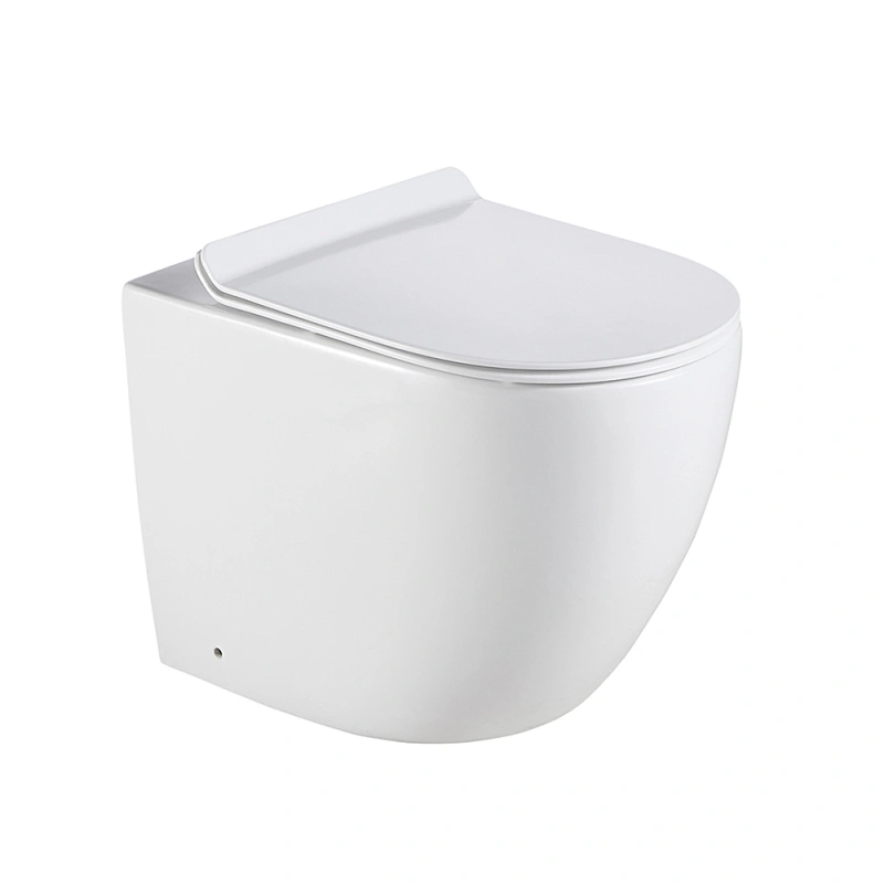 affordable bidet toilet