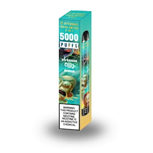 TOUCH SWITCH 5000 Puffs Dual Flavors Disposable Vape