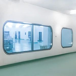 GMP Standard Cleanroom Purification Window for Cleanroom