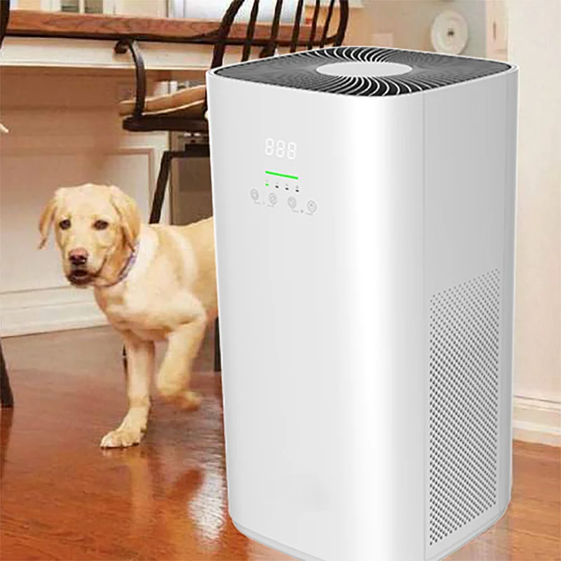 Best Air Purifier For Dog Hair