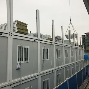 Convenient Intercontinental Style Marketing Design and Housing Container House