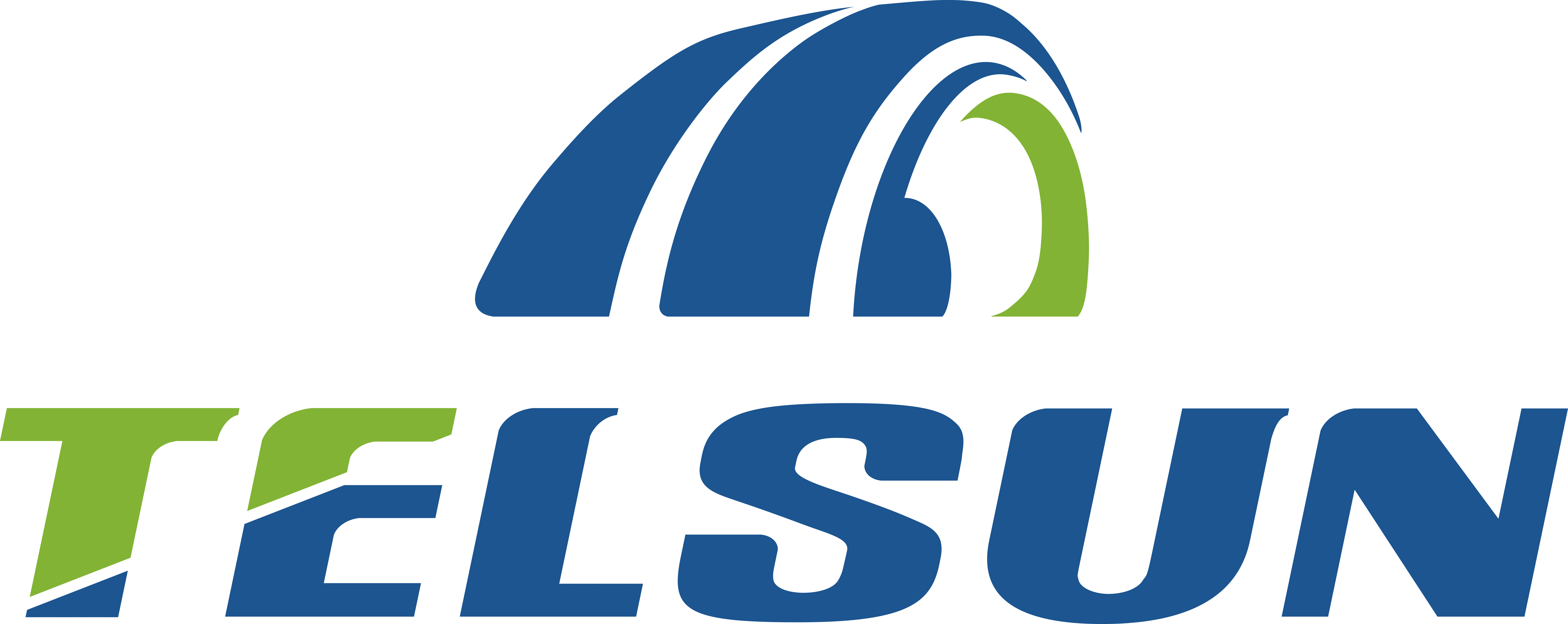 about-us-telsun-industry-co-limited