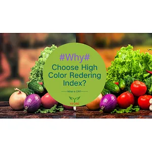 What is Color Rendering Index, what is CRI