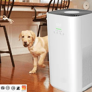 Air And Dust Purifier