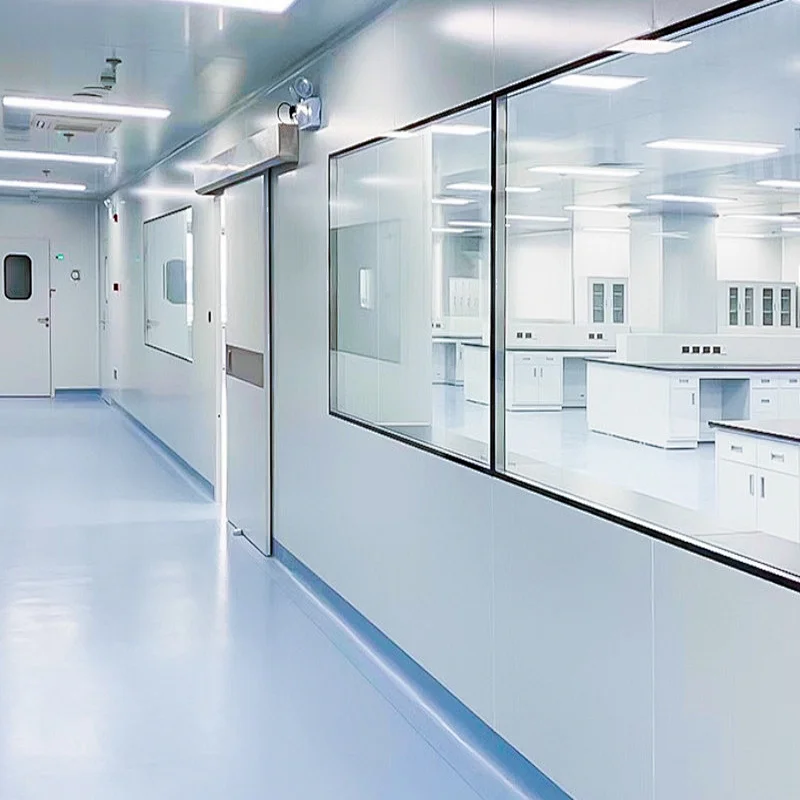 Customized Modular Window Double Glass Clean Room Windows