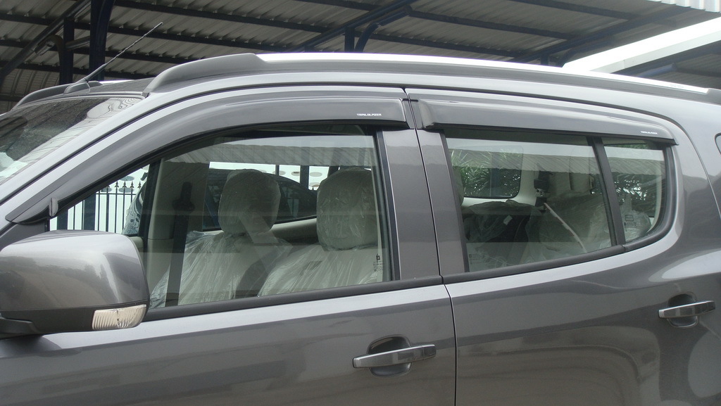 TRAIBLAZER 16 DOOR VISOR