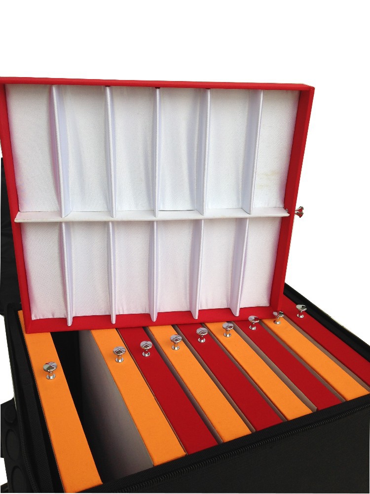 black Suitcase Display Case