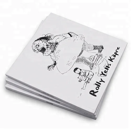 Jame book printing children 2021  Custom cover English picture book