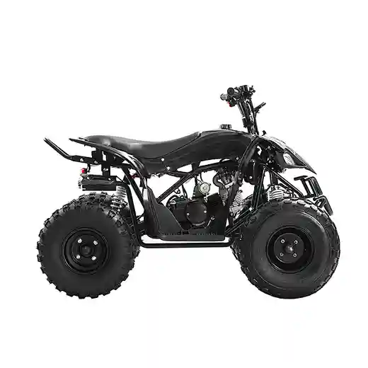 New high quality 110cc 125cc 4 stroke gas powered kids quad bike ATV four wheeler with CE gas ATV 4-wheel quad