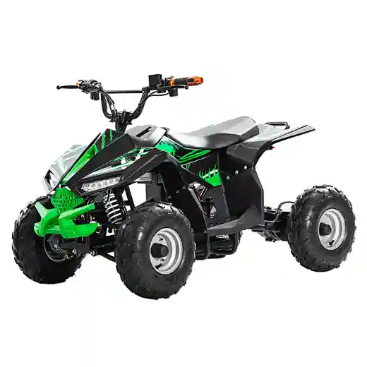 e-Falcon ATV Electric Made In China 48V 1200W 1000w Teenage and adults Electric ATVS with CE
