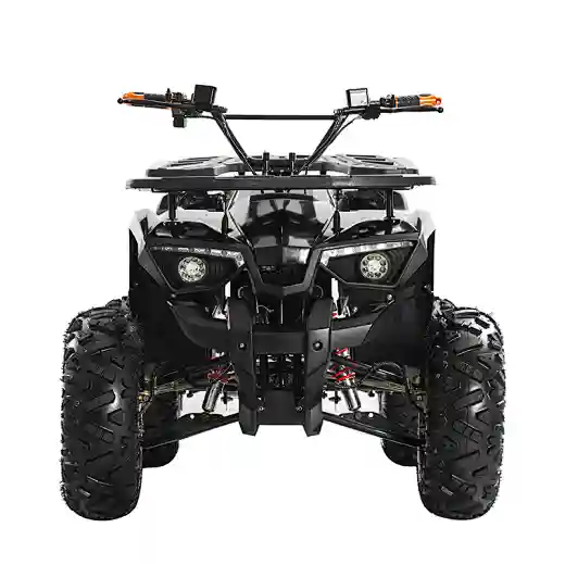 electric shaft drive ATV electric 4 wheel drive atv electric atv 1200w 1500w