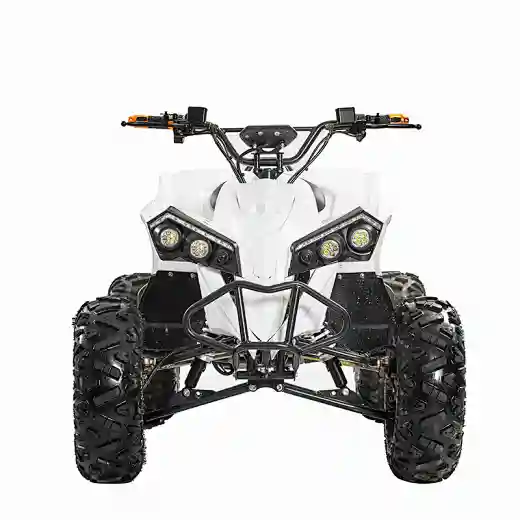 2023 48V 20Ah 1200Wshaft drive brushless motor 4 wheel quad bikes electric ATVs for Teens