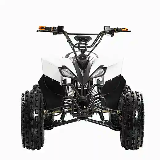 New kids 1200W 1500W 48V 60v electric mini quad bike ATV for sale