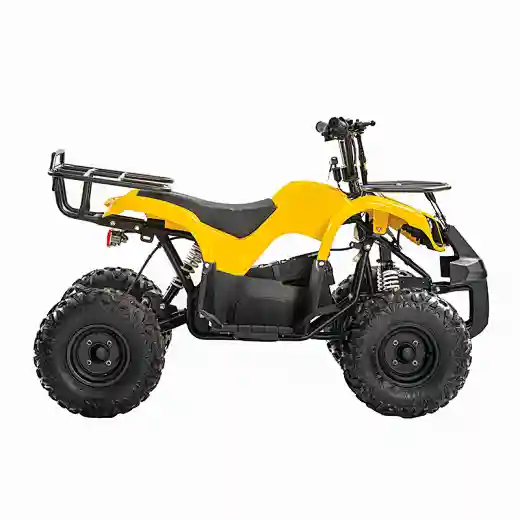 1500w 60v Electric Atvs Quad Bikes 4 Wheel Motorcycle E Quad For Adults Four Wheels Long Range For Sale