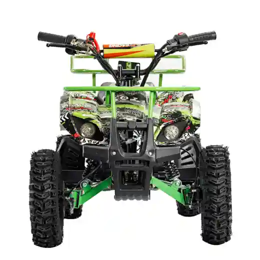 2 stroke 49cc Mini Quad Quad ATV Bike