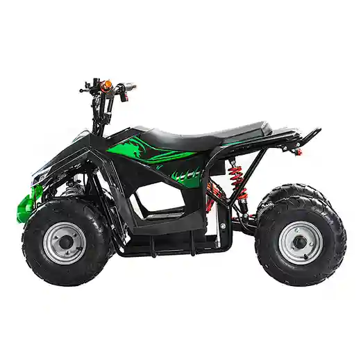 Newest Electric ATVs 4 wheel 1000W 1200w 4X4 Adults Electric ATV Quad