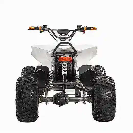 2023 48V 20Ah 1200Wshaft drive brushless motor 4 wheel quad bikes electric ATVs for Teens