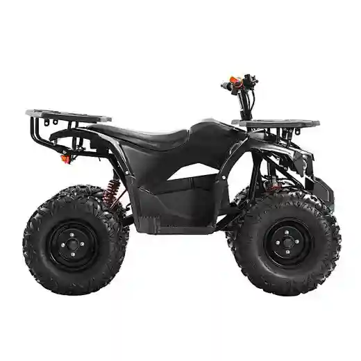 Kids/teens/adults Electric Quad Bike 60V Battery Powered 4 Wheeler Ride on Electric ATV