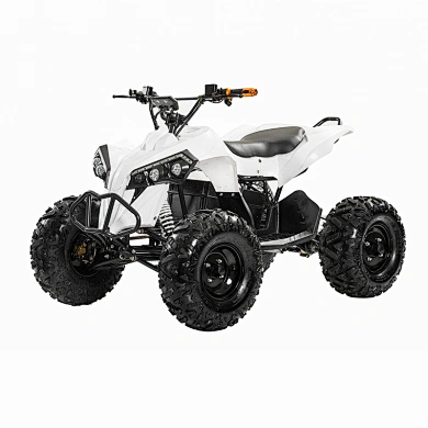 2023 48V 20Ah 1200Wshaft drive brushless motor 4 wheel quad bikes electric ATVs for Teens
