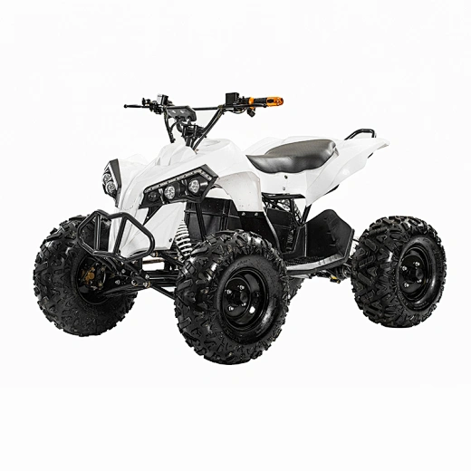 2023 48V 20Ah 1200Wshaft drive brushless motor 4 wheel quad bikes electric ATVs for Teens